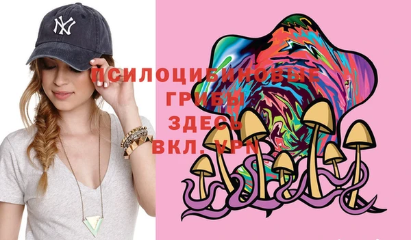 кокс Алексеевка