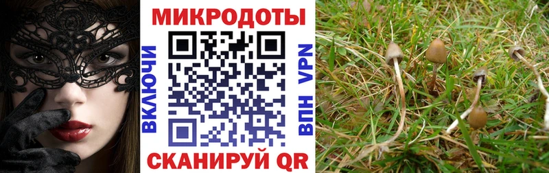 OMG как войти  Боровичи  Псилоцибиновые грибы MAGIC MUSHROOMS 