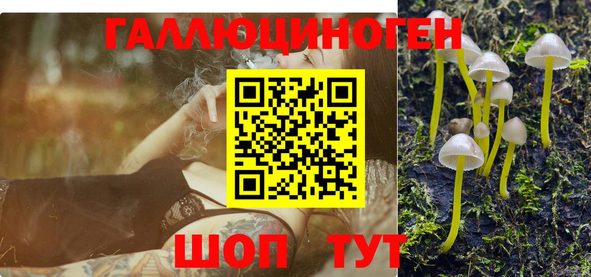 Псилоцибиновые грибы мухоморы  Вход с VPN  Псилоцибиновые грибы Cubensis  Боровичи 