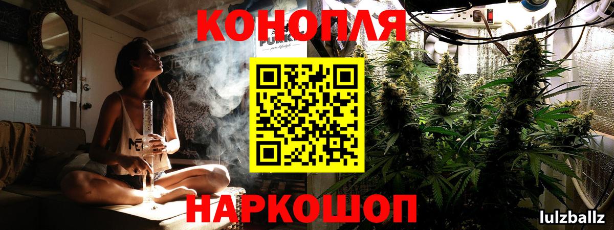 Шишки марихуана планчик Боровичи